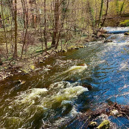 Traumhaus Mit Sauna Und Kamin