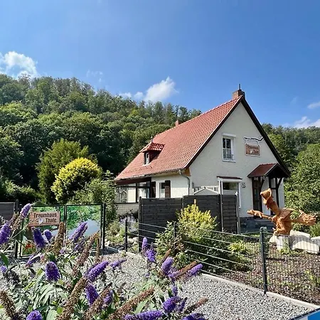 Traumhaus Mit Sauna Und Kamin بيت للعطل ثال