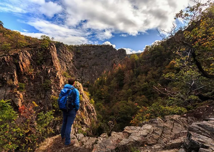 Traumhaus Mit Sauna Und Kamin