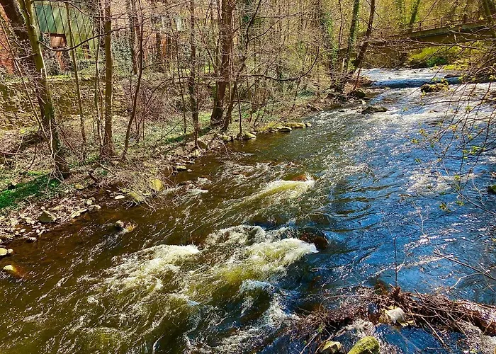 Traumhaus Mit Sauna Und Kamin